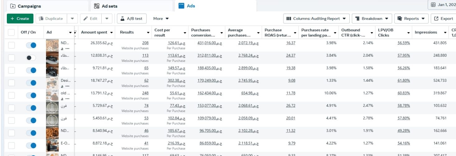 Meta Ads Results