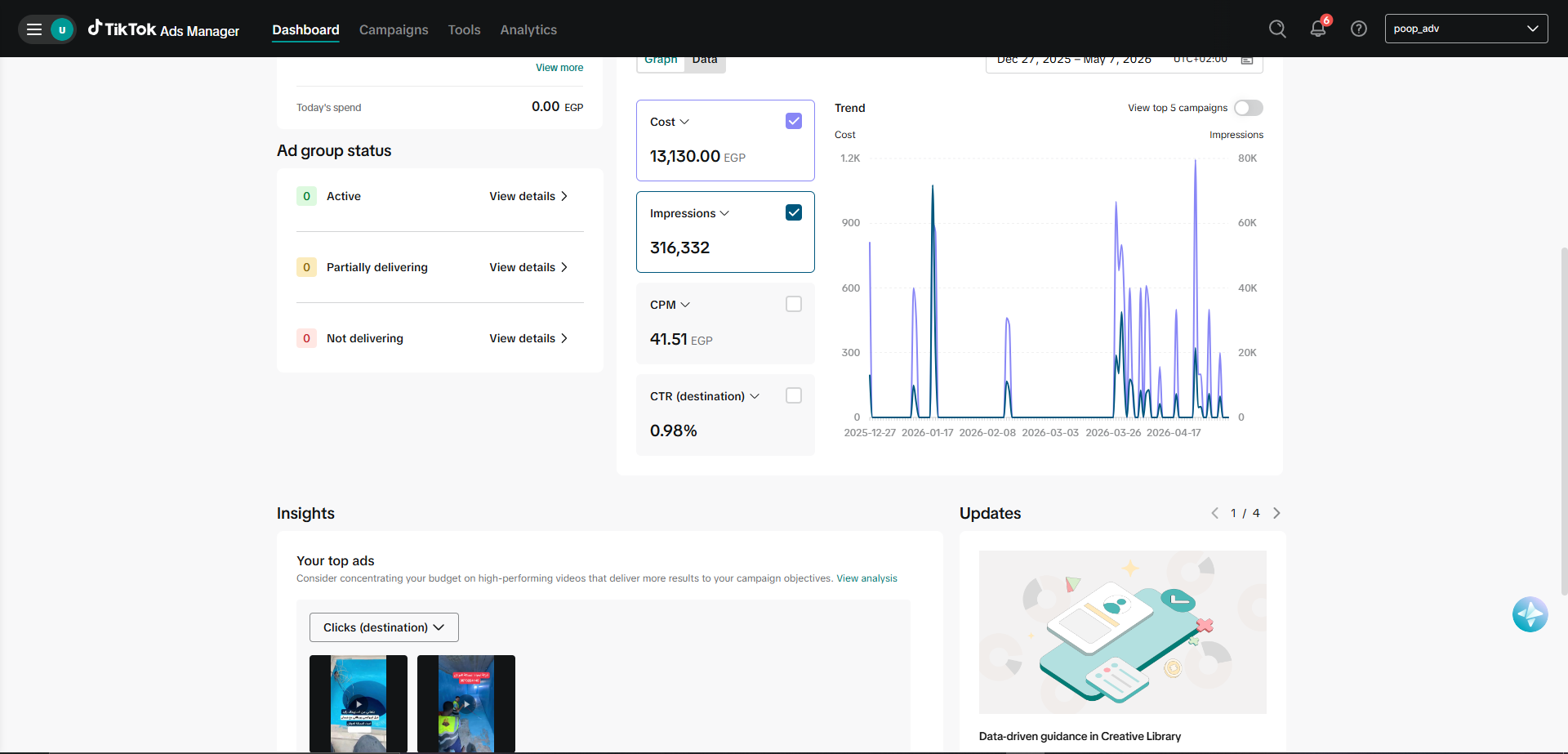 TikTok Ads Results